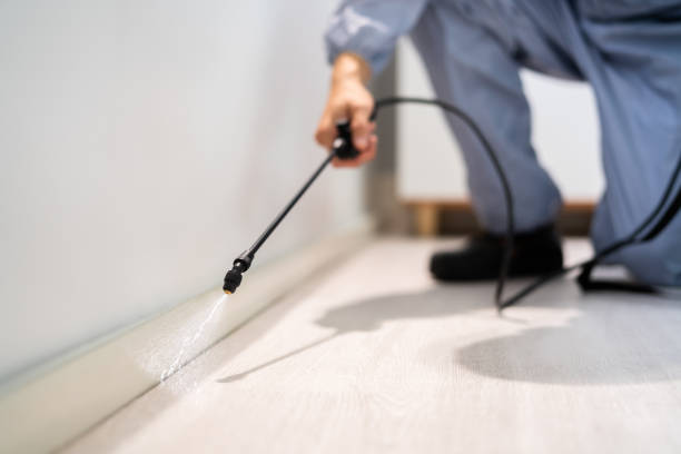 Professional exterminator conducting IPM assessment in Johnston